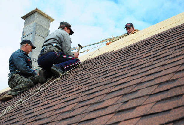 Best Roof Gutter Cleaning  in Vaville, CA